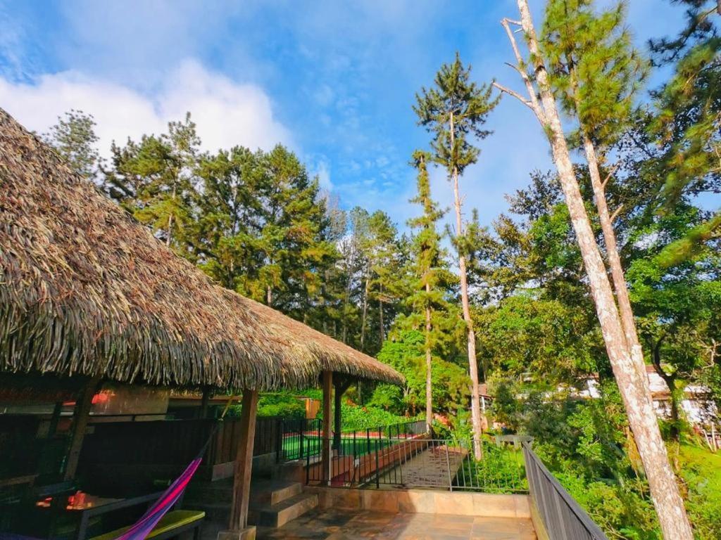 La Semilla Ecolodge Cerro Azul Zewnętrze zdjęcie