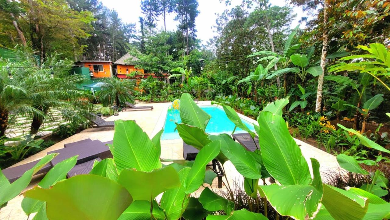 La Semilla Ecolodge Cerro Azul Zewnętrze zdjęcie