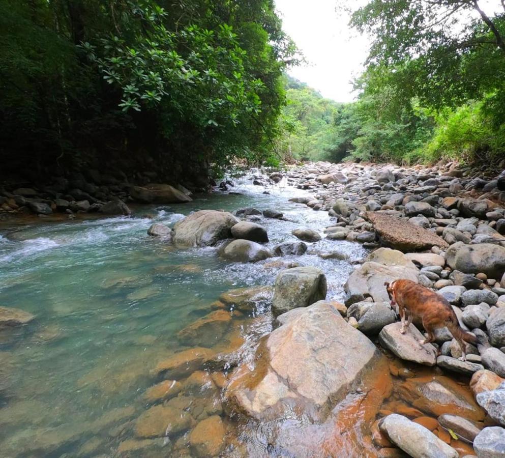 La Semilla Ecolodge Cerro Azul Zewnętrze zdjęcie