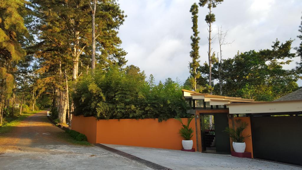 La Semilla Ecolodge Cerro Azul Zewnętrze zdjęcie