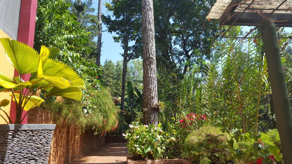 La Semilla Ecolodge Cerro Azul Zewnętrze zdjęcie